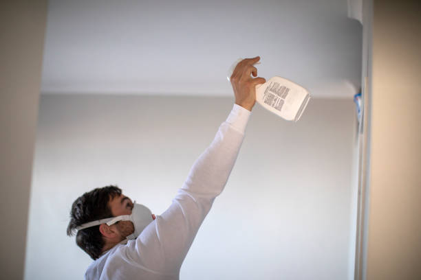 Best HVAC Mold Remediation in Dakota City, NE
